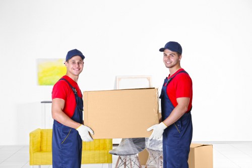 Professional removal team handling household items